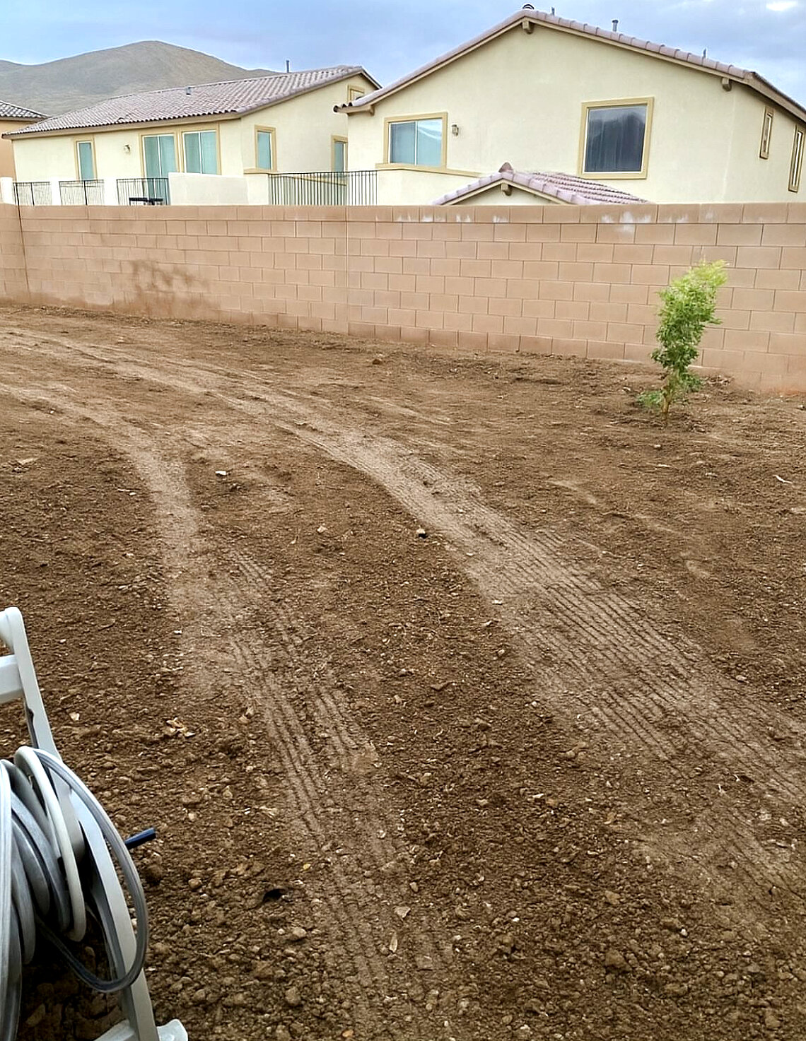 Yard grading & new tree planting